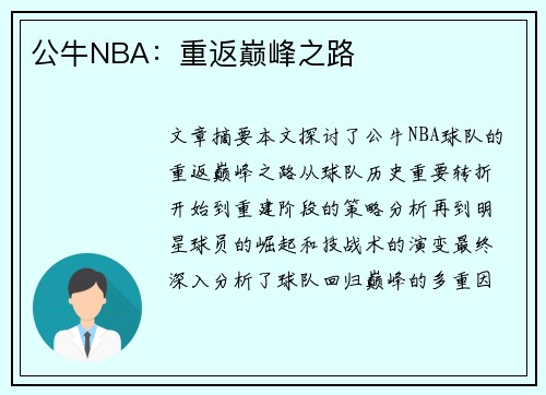 公牛NBA：重返巅峰之路