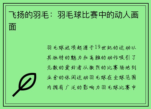 飞扬的羽毛：羽毛球比赛中的动人画面