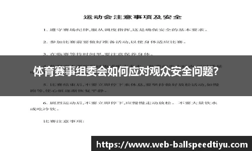 球速体育app