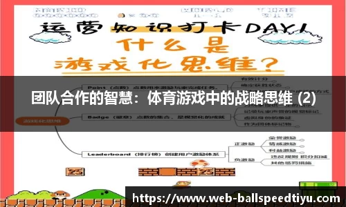 球速体育平台