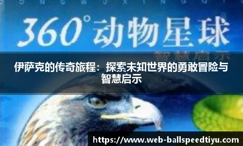 球速体育官网